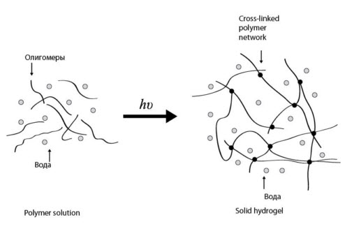 Схематическое изображение перехода жидкого геля в гидрогель путем фотополимеризации