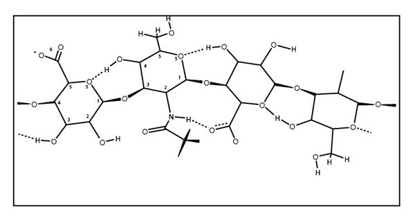 Химическая структура ГК с изображением водородных связей, существующих в безводной форме